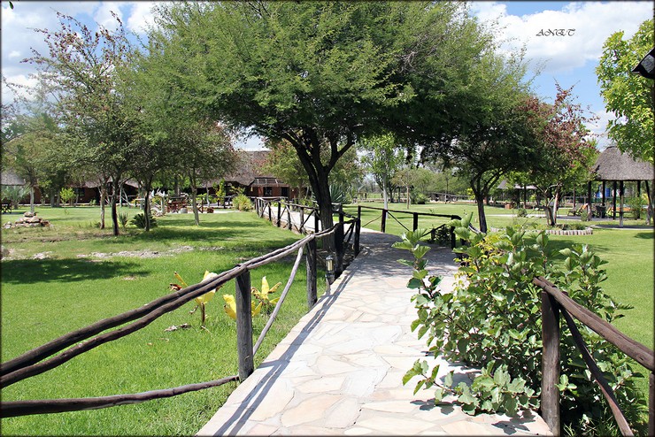 MSA16 Day 9 : Etosha National Park – Grootfontein Area
