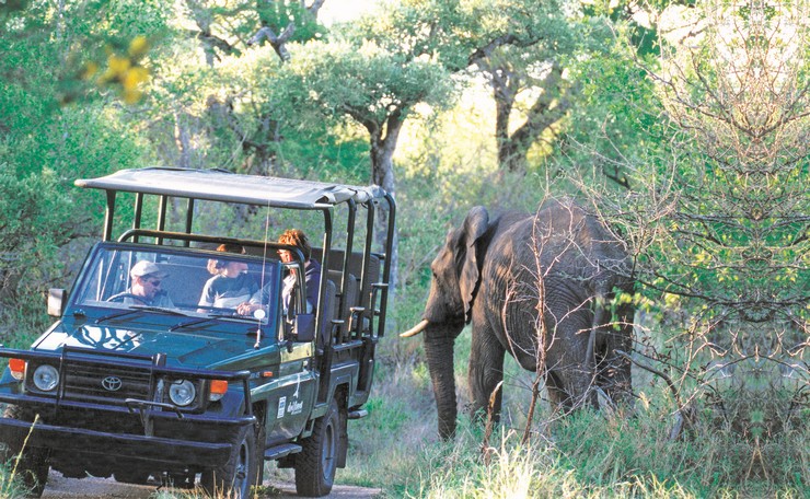 Game Drive Balule Reserve Drifters 18 Day SA tour