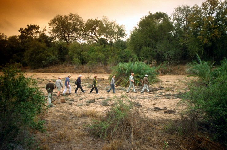 Game Walk in the Balule Reserve