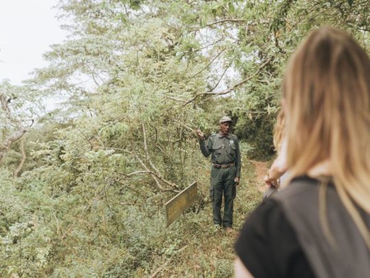 Guide to tipping in africa