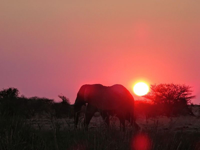 Hakuna Matata|Hakuna Matata|African Savannah|Lion King in Africa|In Africa
