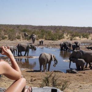 12 Day Northern and Southern Namibia Highlights
