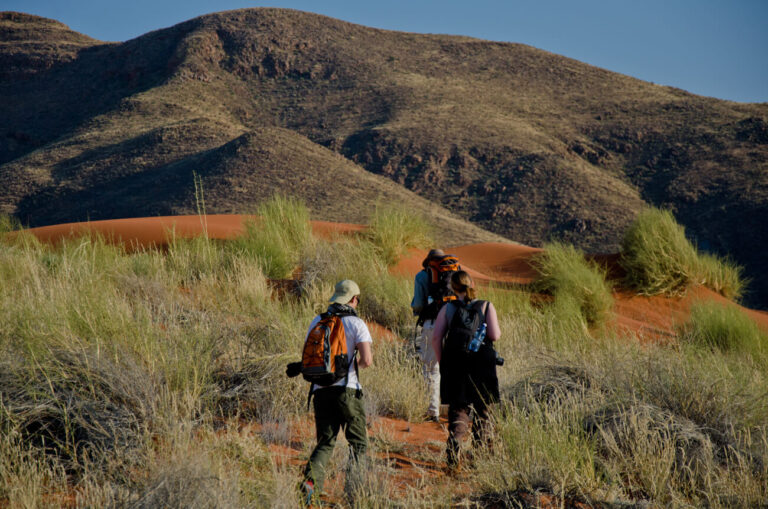 Africa’s best lesser known game reserves