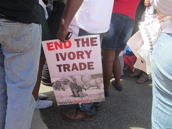 The iWorry International March for Elephants