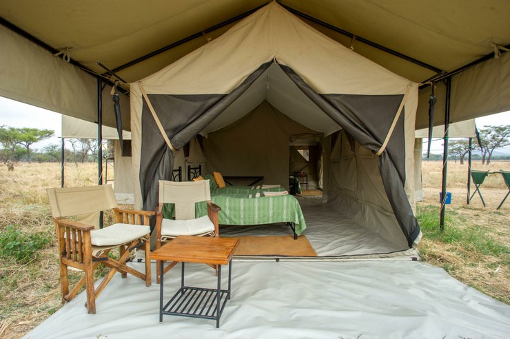 KT10 Day 7: Lake Victoria – Serengeti National Park, Tanzania