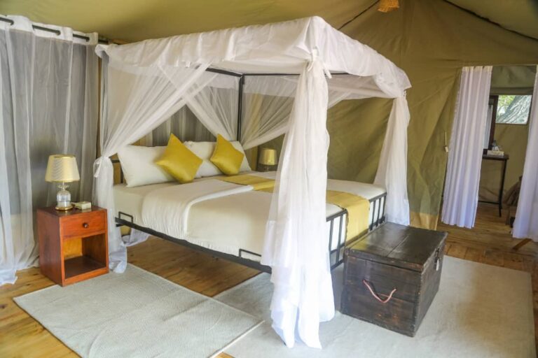 MND Day 8: Ngorongoro Crater, Tanzania