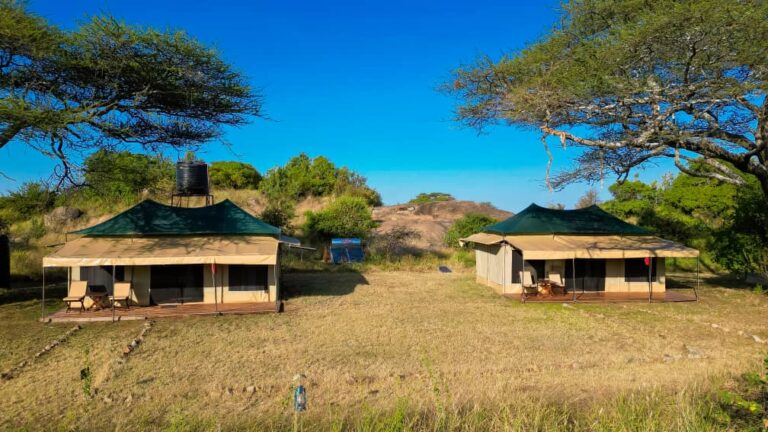 MND Day 8: Ngorongoro Crater, Tanzania