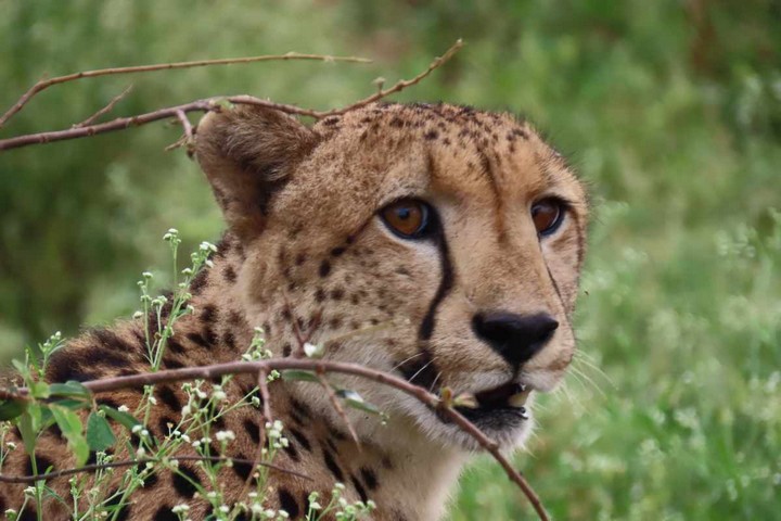 African Overland Tours