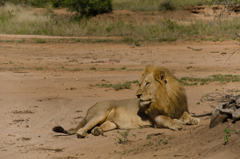 Selous Game Reserve, Tanzania