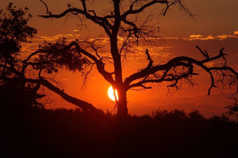 Best books about Africa