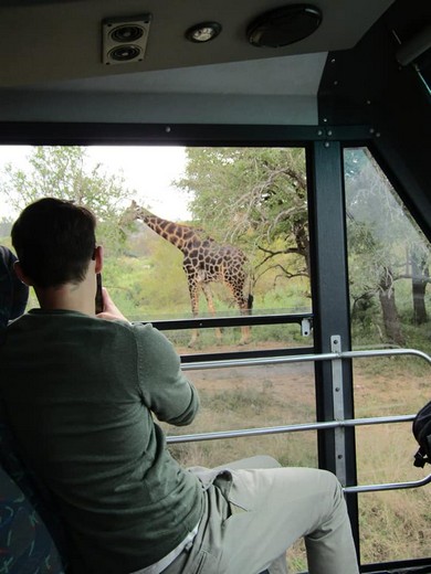 Kruger National Park 18 Day Eco Explorer