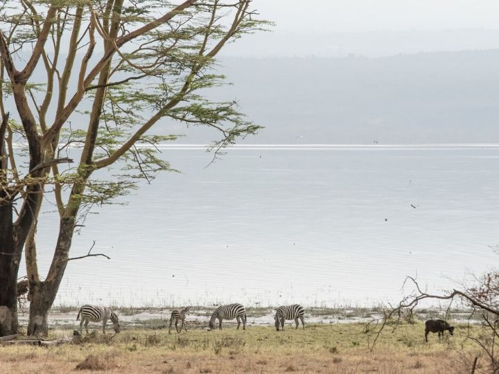 African Overland Tours