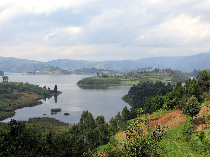 NNC58 Day 08: Gorillas (Lake Bunyonyi)