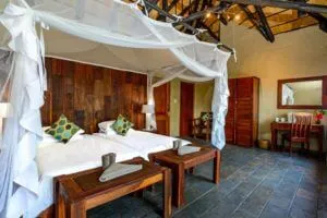 lodge safaris