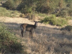 Client Feedback on Trip to Uganda and Tanzania