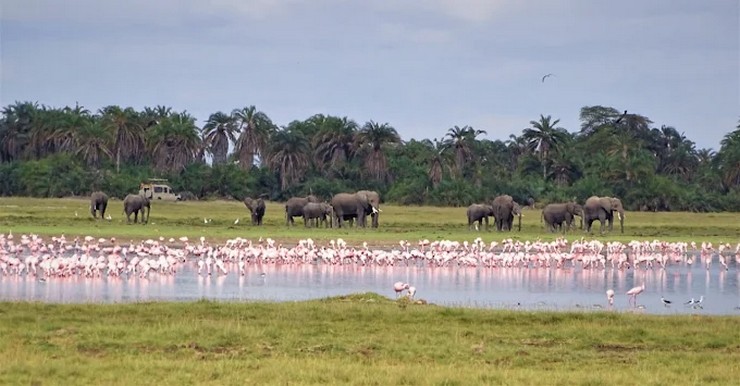 Amboseli National Park Accommodation