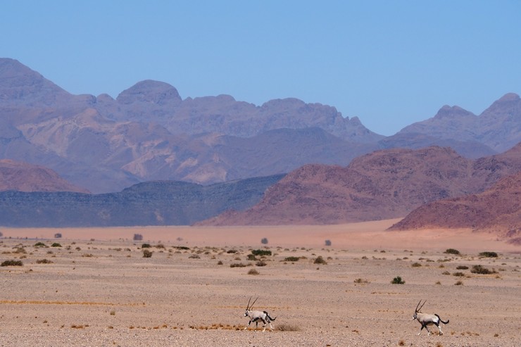 CHAM12NSNH Day 9: Sesriem – Klein Aus Vista, Namib Desert