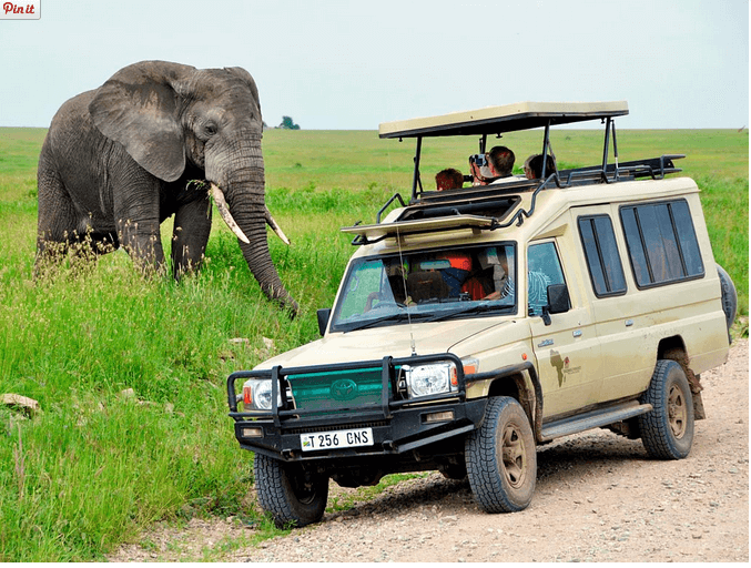 Tanzania Budget Safari