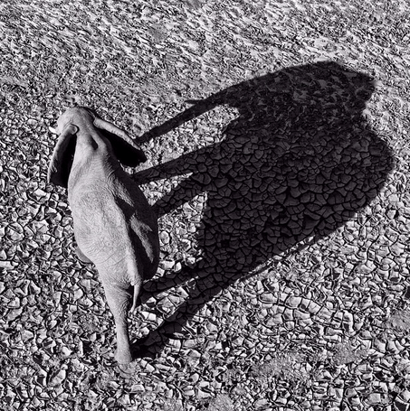 20 Great Instagrams of Africa