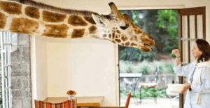 The 8 most unusual places to stay in Africa