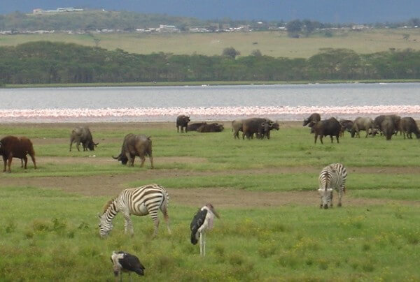 Hell’s Gate National Park, Kenya