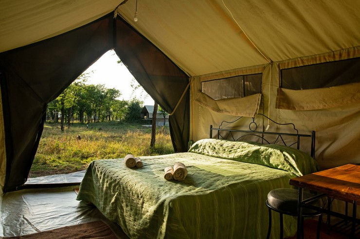 KT10 Day 8: Serengeti National Park, Tanzania