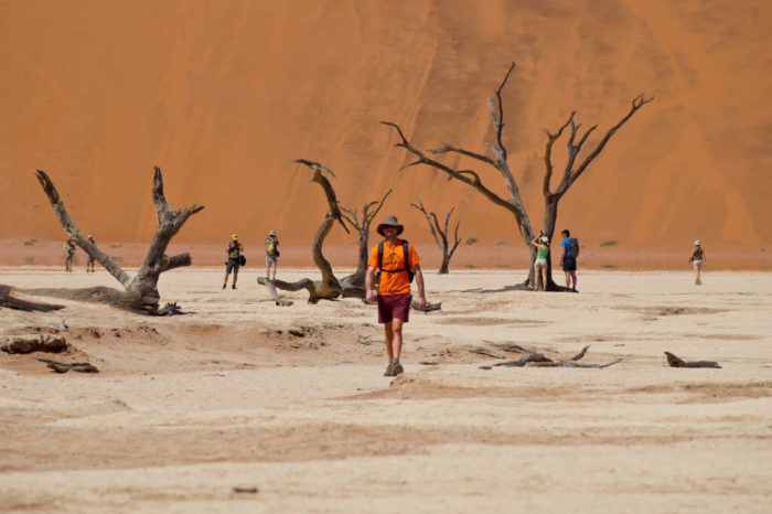 Namibia Safari Tours
