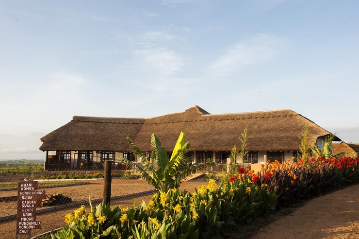 KT10 Day 9: Serengeti National Park – Ngorongoro Crater – Karatu, Tanzania