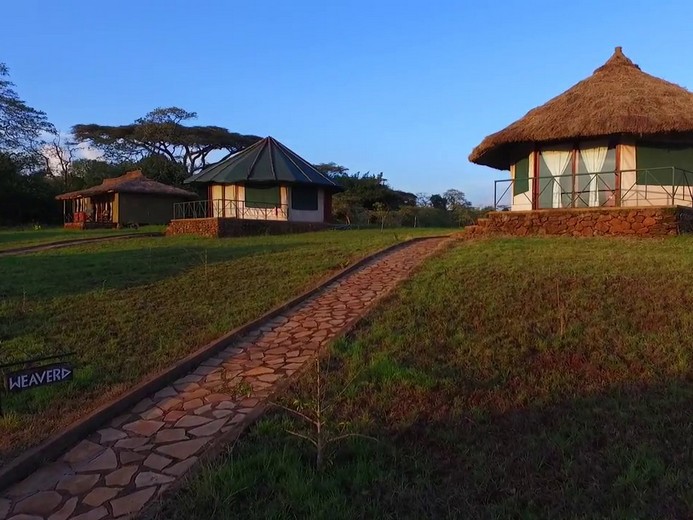 MND Day 6: Tarangire National Park – Lake Manyara National Park, Tanzania