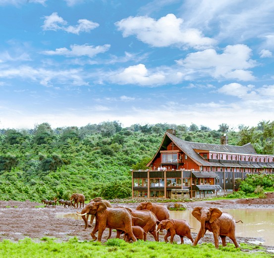 Aberdare National Park, Kenya Accommodation