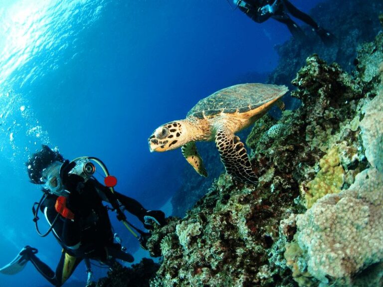 The Rise of Adventure Travel: Top 8 African Adventures for your Bucket List