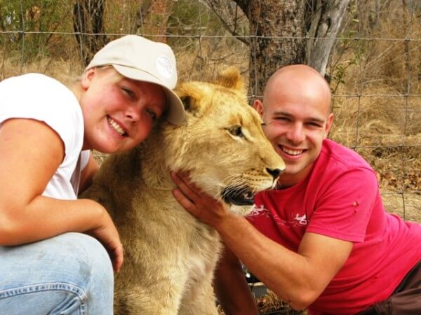 Visit Ukutula Lion Park