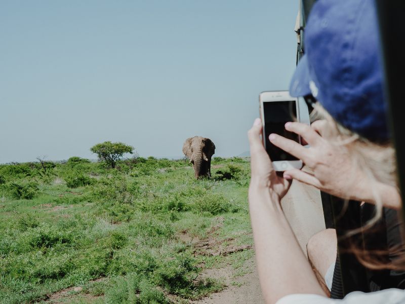 Best time to visit Africa for Weather & Viewing