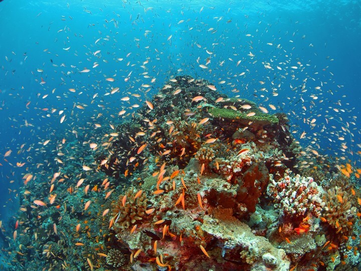 African Overland Tours