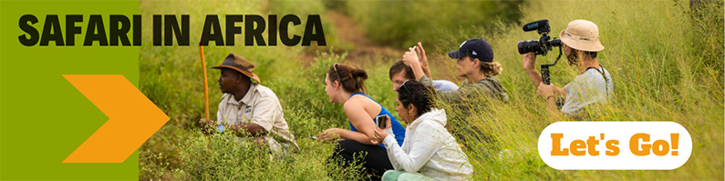 Safari in Africa with African Overland Tours