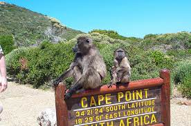 CPT-VIC24 Day 1 – 2: Cape Town, South Africa