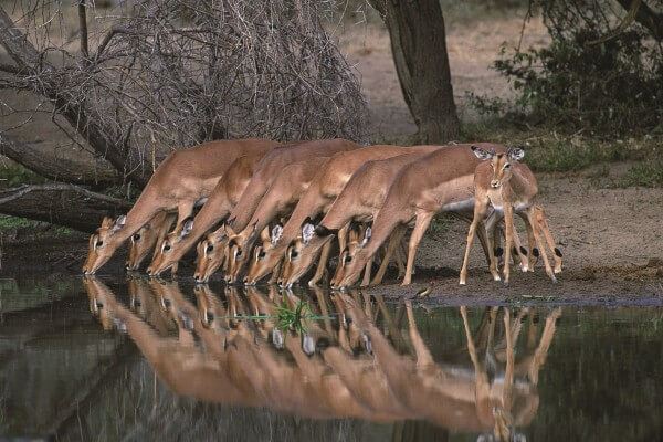 Makgadikgadi Pans, Botswana