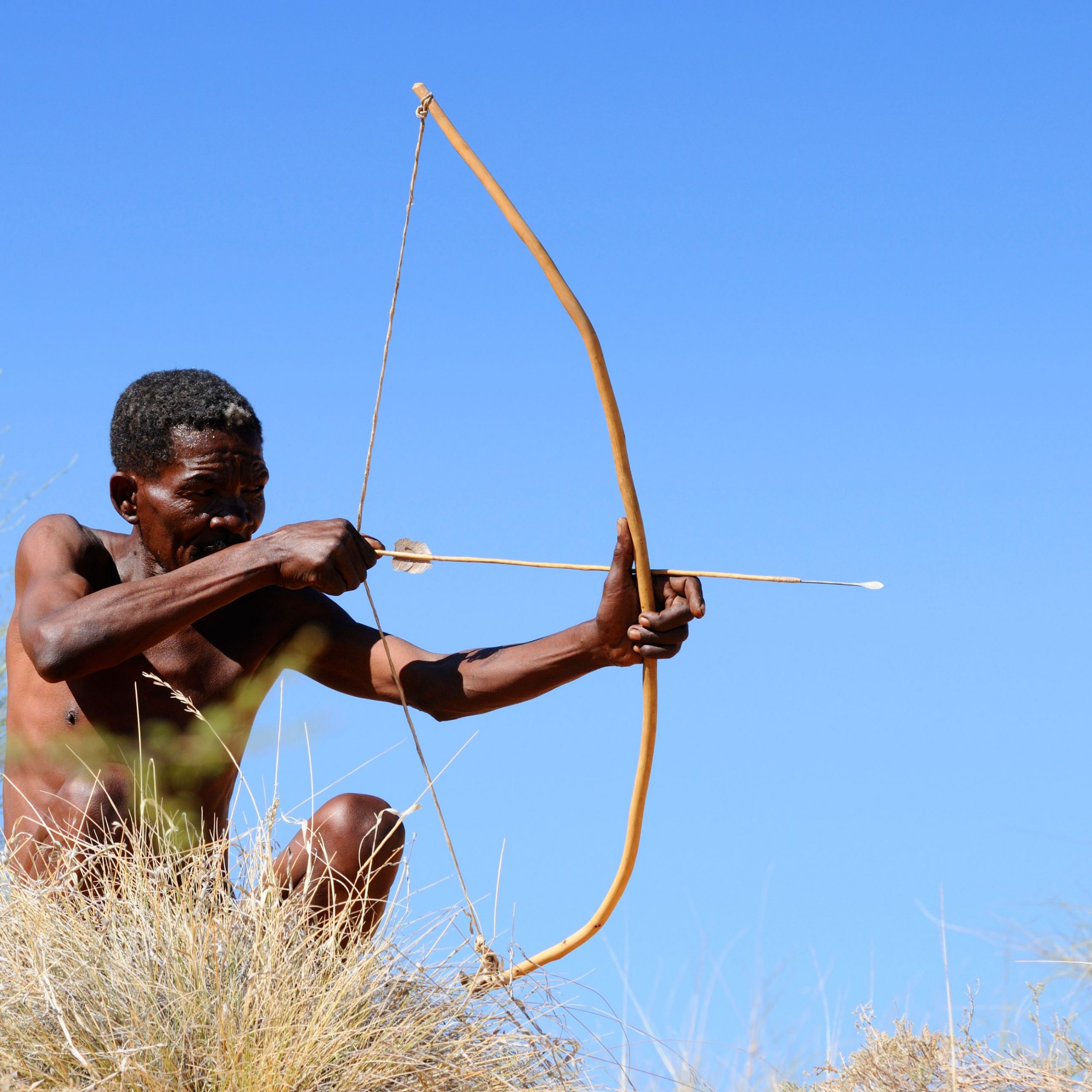 A San man hunting with a bow and arrow