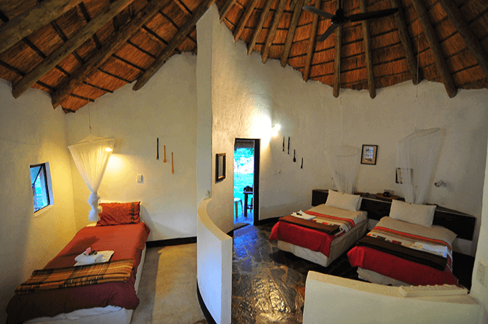 timbavati lodge