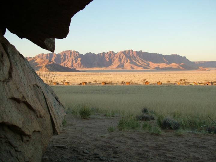 The Benefits of a Winter Safari Experience