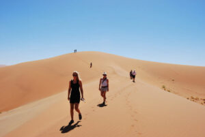 21 Day Namibia & Botswana Safari
