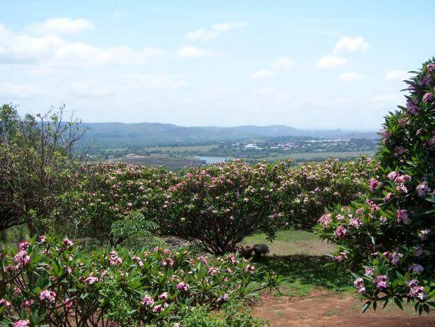 African Overland Tours Hazyview