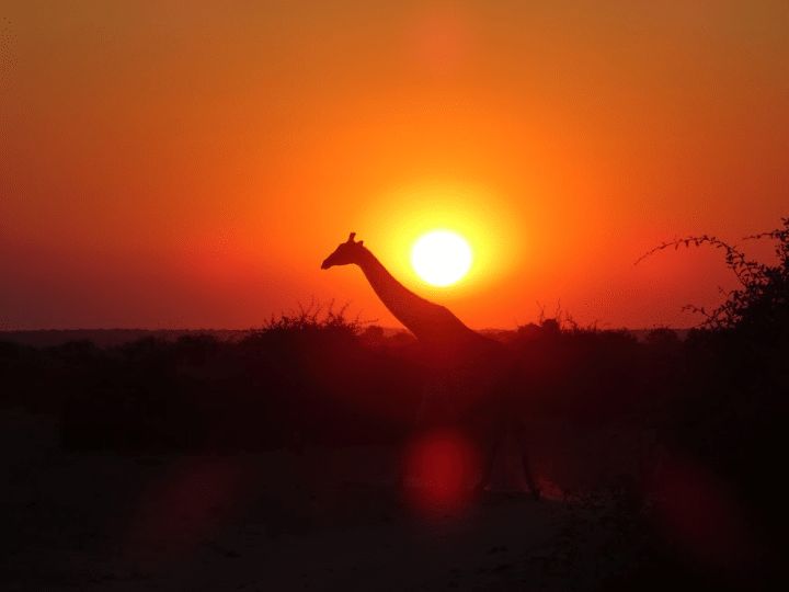 African Sunset