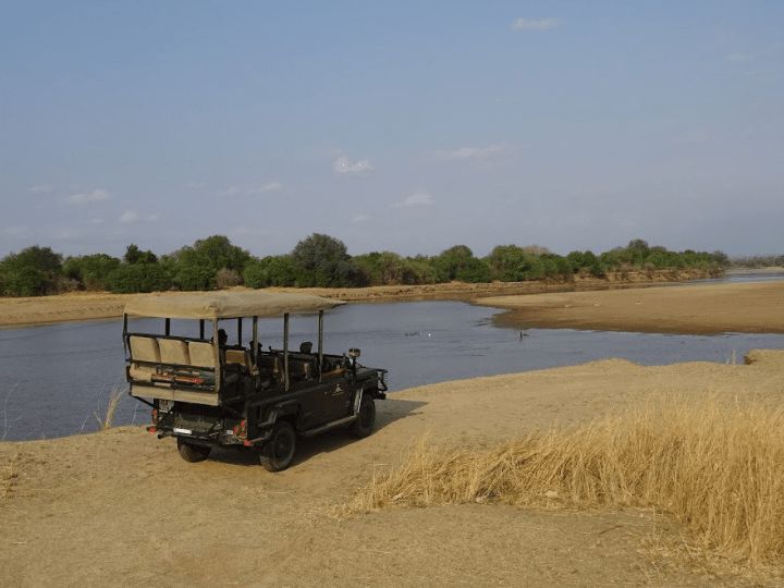 South Luangwa Safari