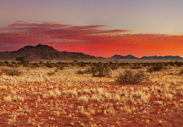 8 facts that tell the story of the Kalahari Desert