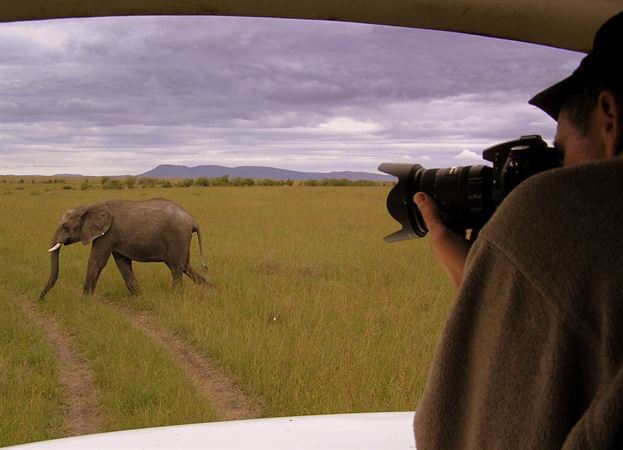 When is the Best Time to go to East Africa?