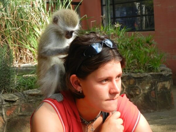 SAE14 Day 6: Knysna, South Africa