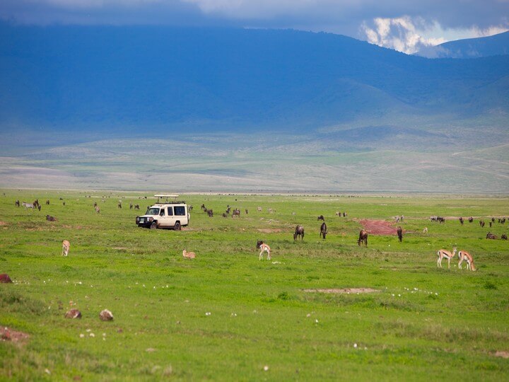 ngorongoro-crater-budget-safari