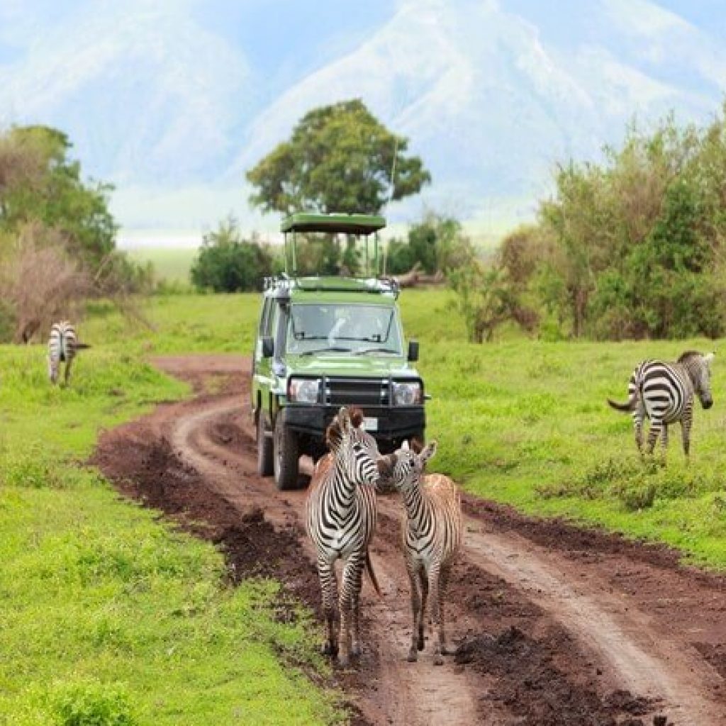 13 Day Great East African Lodge Safari
