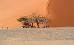 overland safaris